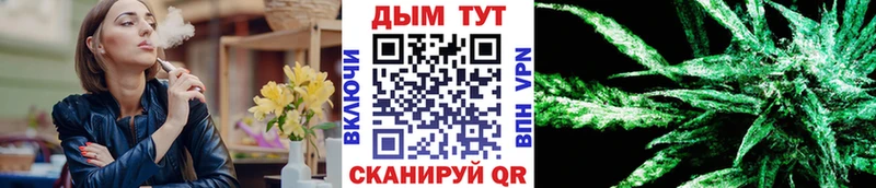 Продажа наркотиков Козьмодемьянск Бошки Шишки  Меф мяу мяу  Альфа ПВП  ГАШ 