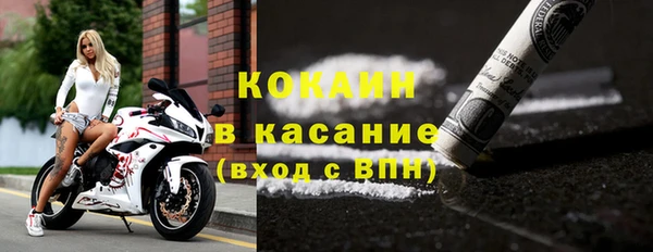 ПСИЛОЦИБИНОВЫЕ ГРИБЫ Заволжье