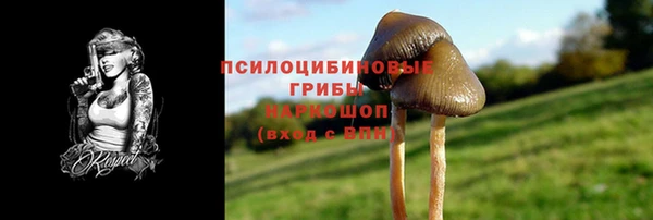 экстази Заводоуковск