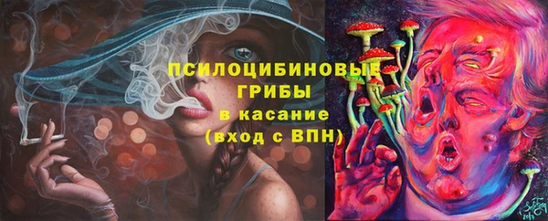 гашик Зеленодольск