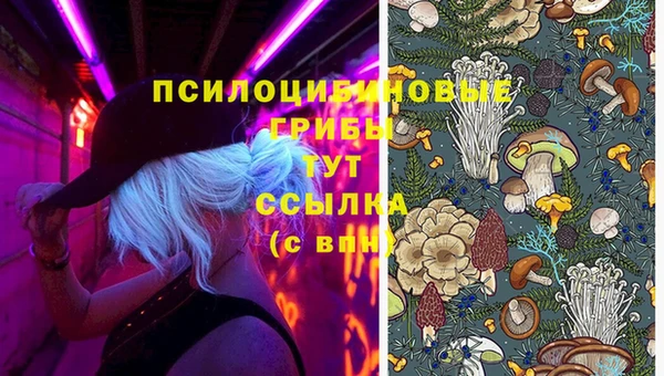 мет Инта