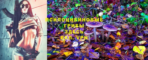 гашик Зеленодольск