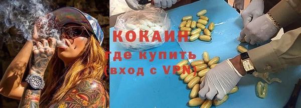 ПСИЛОЦИБИНОВЫЕ ГРИБЫ Заволжье