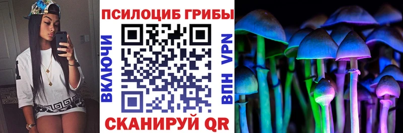 Галлюциногенные грибы мухоморы купить наркоту Козьмодемьянск